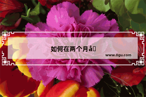 如何在两个月内过英语四级