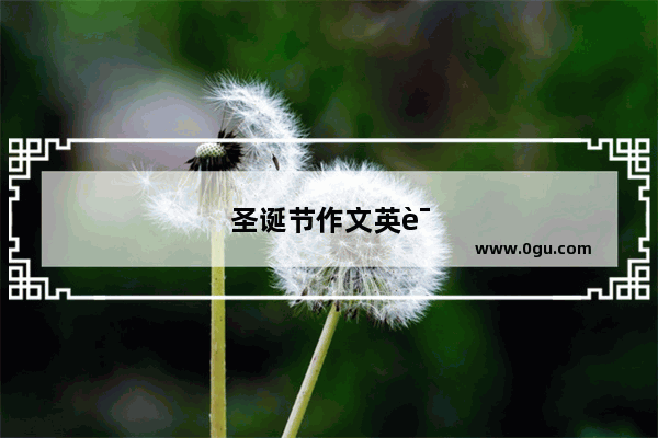 圣诞节作文英语40词