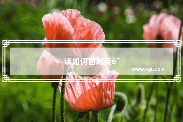 该如何面对英语四六级？怎样才能高效的学习呢