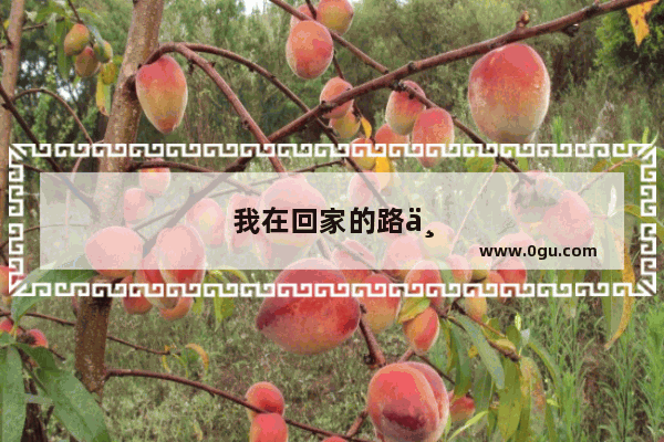 我在回家的路上用英语怎么说写