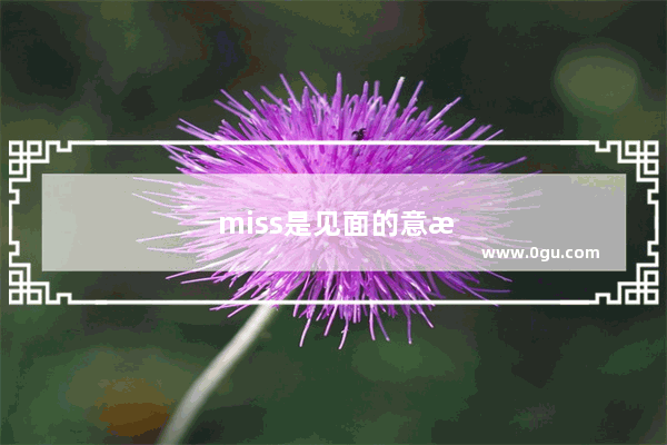 miss是见面的意思吗