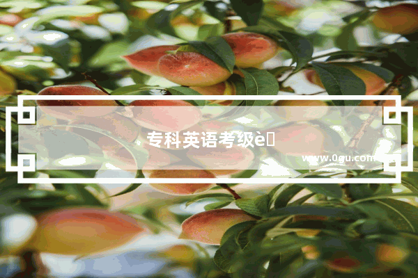 专科英语考级考哪些内容