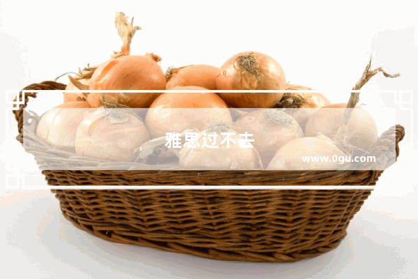 雅思过不去