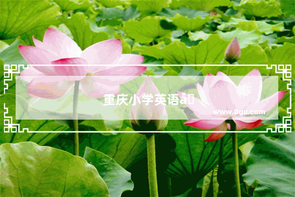 重庆小学英语培训学校