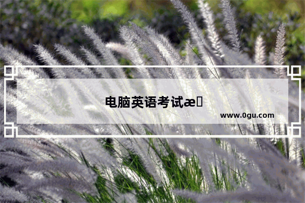 电脑英语考试操作视频