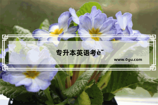 专升本英语考试改错答题格式
