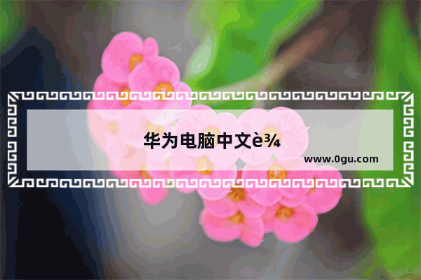 华为电脑中文输入法输出的是英文
