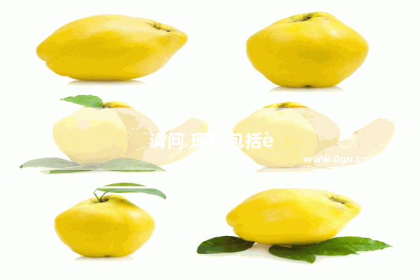 请问 理科包括英语吗
