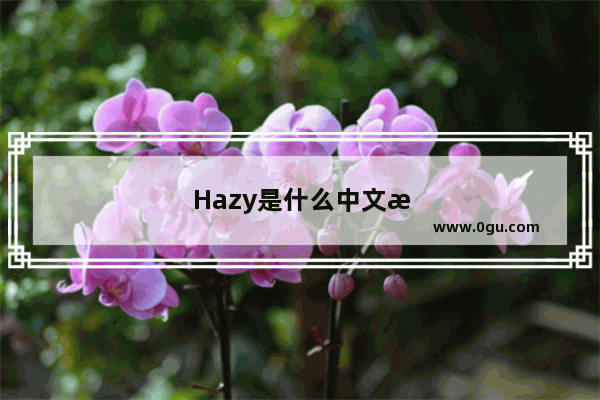 Hazy是什么中文意思