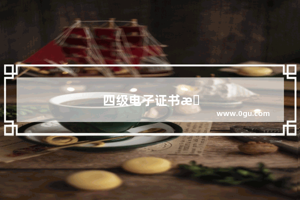 四级电子证书怎么查看