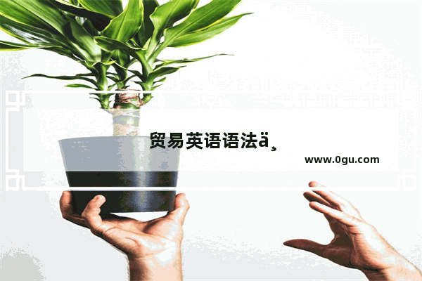 贸易英语语法专升本真题