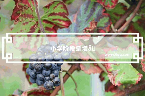 小学阶段是增加词汇量的重要阶段 有什么好方法来增加词汇量吗