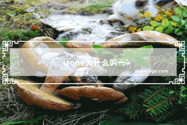 izone为什么叫一击