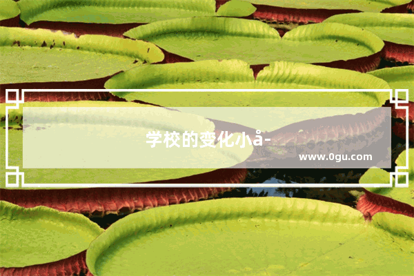 学校的变化小学英语作文