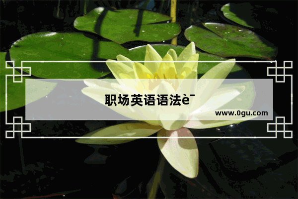 职场英语语法词汇