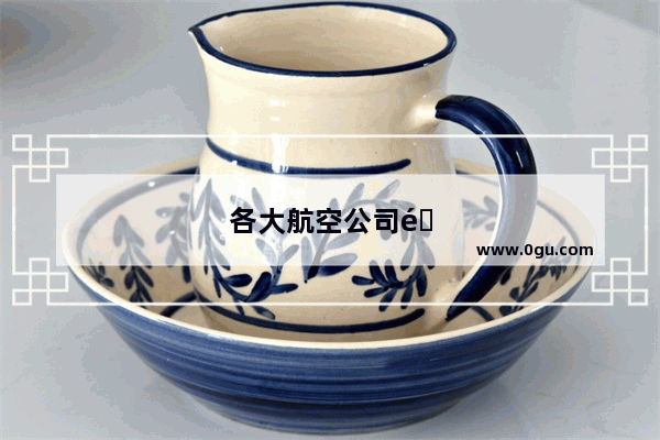 各大航空公司都偏爱什么脸型的空姐？航空招聘看脸吗