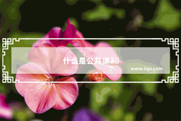 什么是公共课、基础课、专业基础课、必修课和选修课？你怎么看