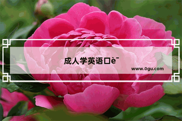 成人学英语口语费用贵吗多少钱