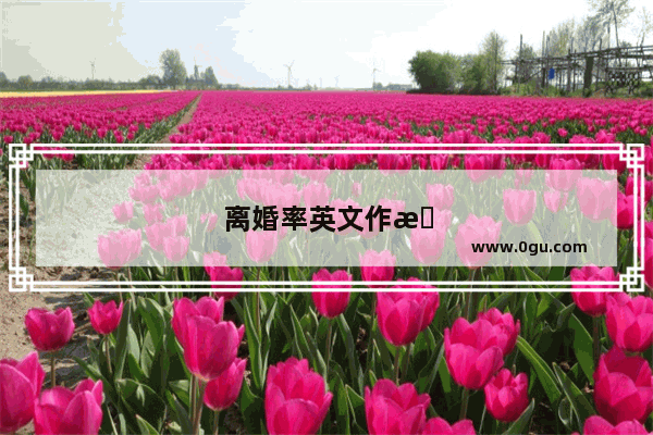 离婚率英文作文
