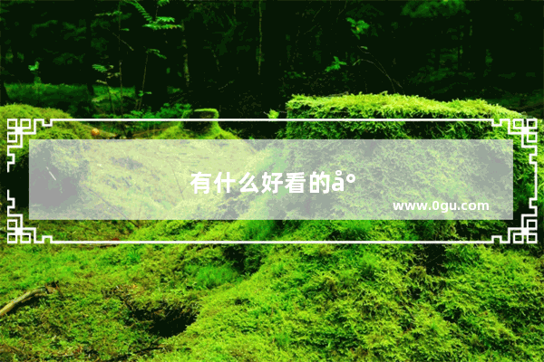 有什么好看的小说