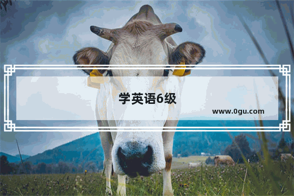 学英语6级