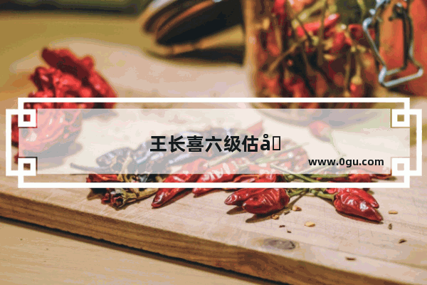 王长喜六级估分表