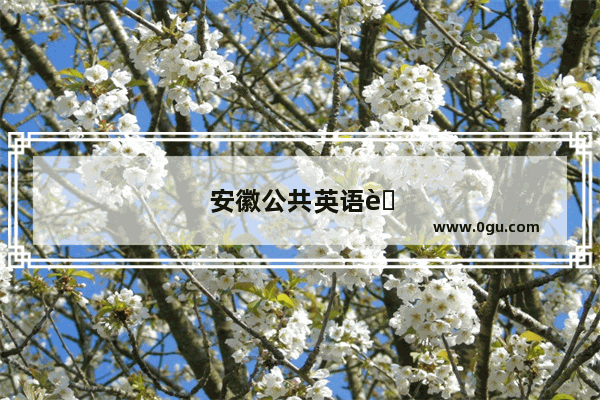 安徽公共英语联盟算不算省级考试