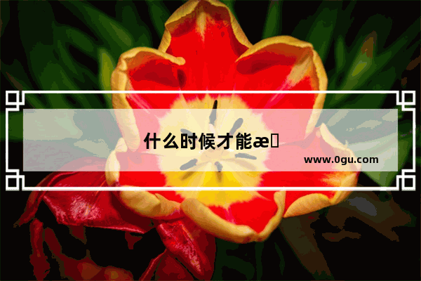 什么时候才能查看英语四级成绩