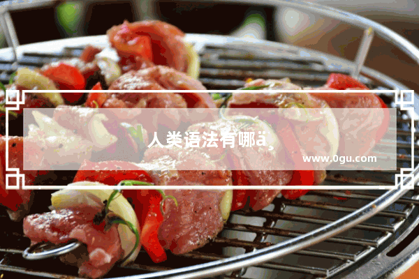 人类语法有哪两个层面