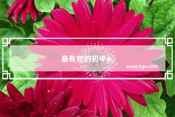 最有效的初中英语学习方法