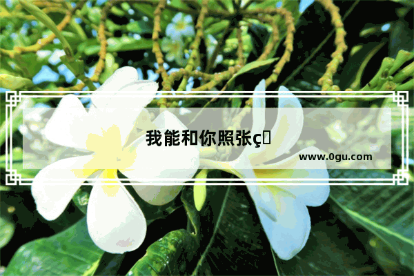 我能和你照张相吗用英语怎么说写
