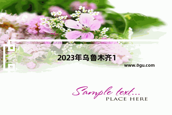 2023年乌鲁木齐12中4级英语考试辅导班哪家好