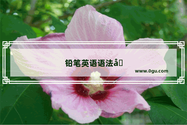 铅笔英语语法基础知识