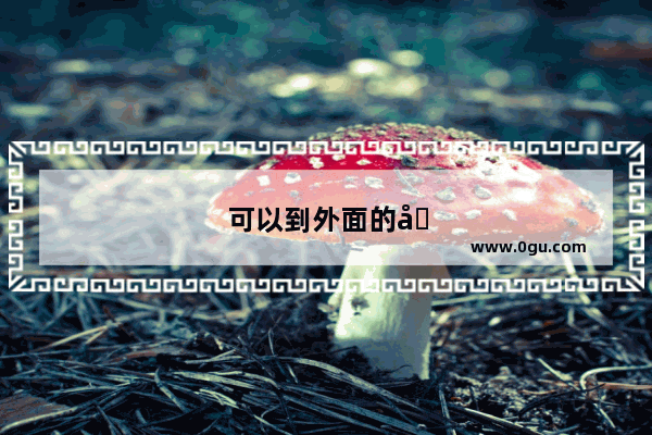 可以到外面的培训机构报四六级吗