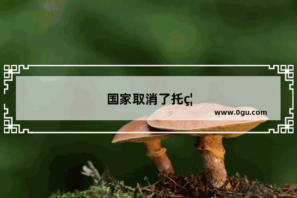 国家取消了托福、雅思、GRE等考试 我们不能访学俄罗斯了吗