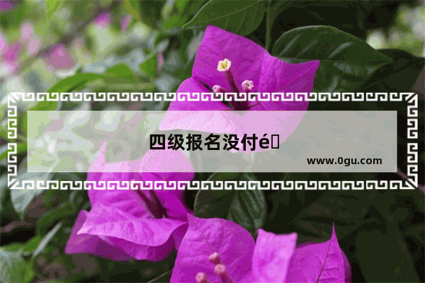 四级报名没付钱怎么取消
