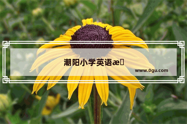 潮阳小学英语教师招聘信息