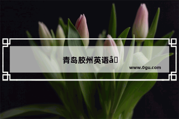 青岛胶州英语培训机构排名