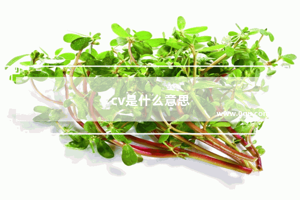 cv是什么意思