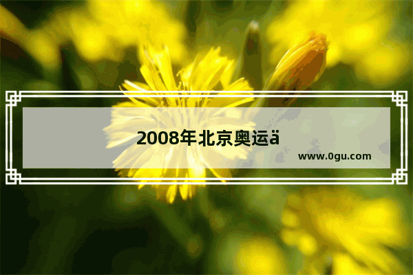 2008年北京奥运会的作文50字