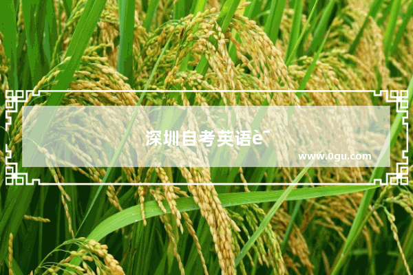 深圳自考英语语法真题