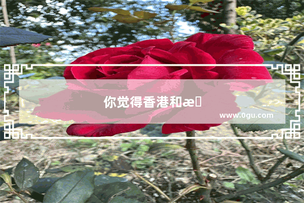 你觉得香港和新加坡哪个更适合华人定居