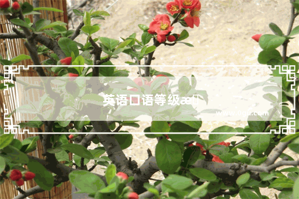 英语口语等级总共分多少级