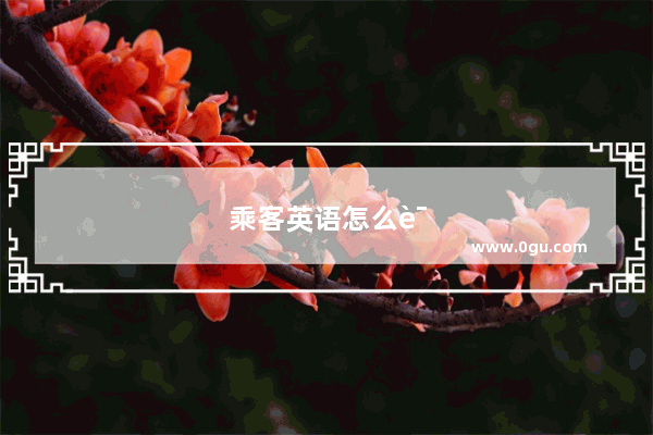 乘客英语怎么说?