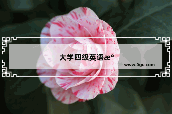 大学四级英语水平 现在想重新开始学英语 目标是提升口语 看懂各类英文书籍 有什么好的建议