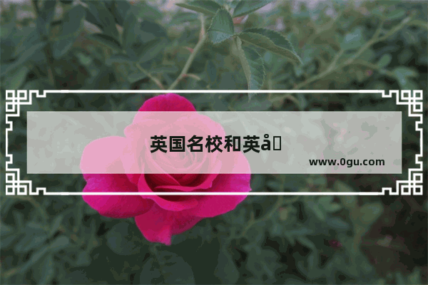 英国名校和英国普遍学校毕业回国找工作有区别吗