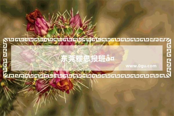 东莞雅思报班多少钱