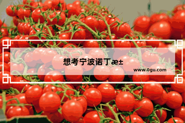 想考宁波诺丁汉大学有哪些条件