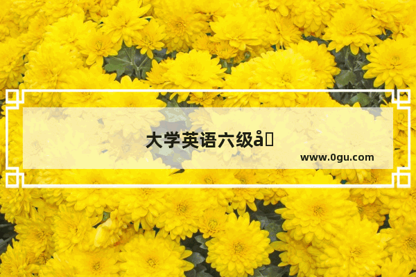大学英语六级和雅思6分哪个比较好用