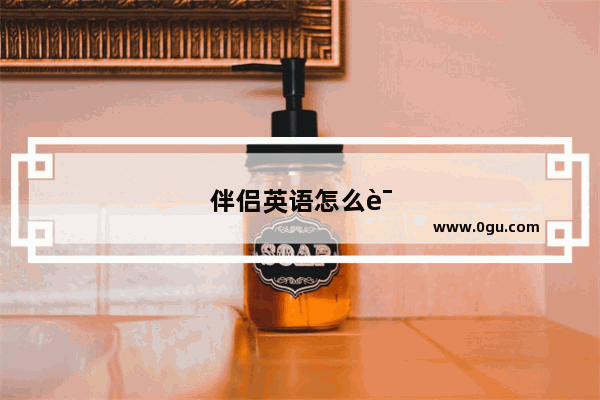 伴侣英语怎么读